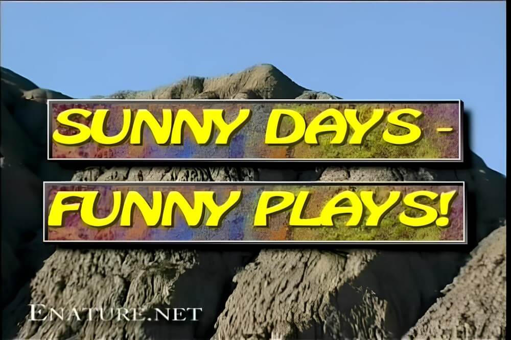 Enature - Sunny Days – Funny Plays - nudism in the world